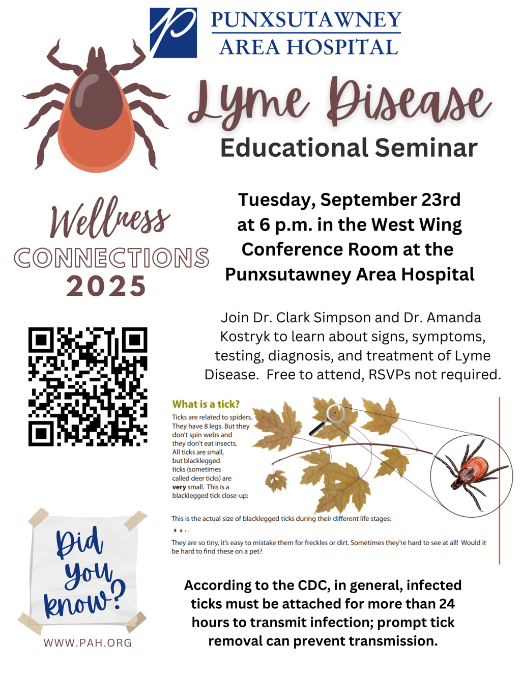 Lyme Lyme